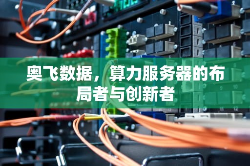 奥飞数据，算力服务器的布局者与创新者