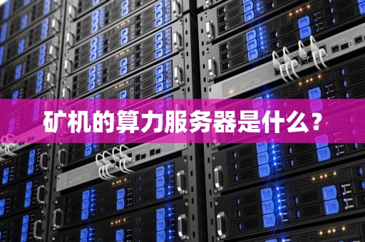 矿机的算力服务器是什么？