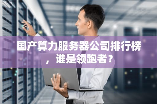 国产算力服务器公司排行榜，谁是领跑者？