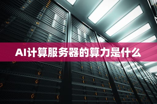 AI计算服务器的算力是什么