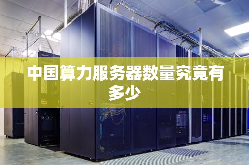 中国算力服务器数量究竟有多少