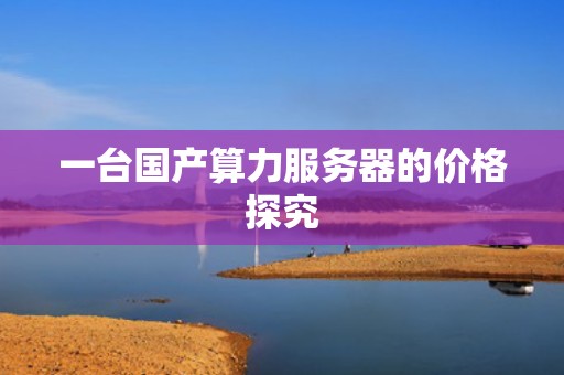 一台国产算力服务器的价格探究