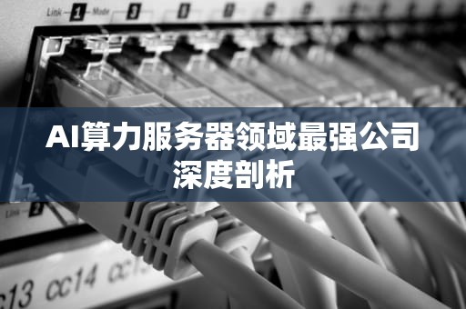 AI算力服务器领域最强公司深度剖析