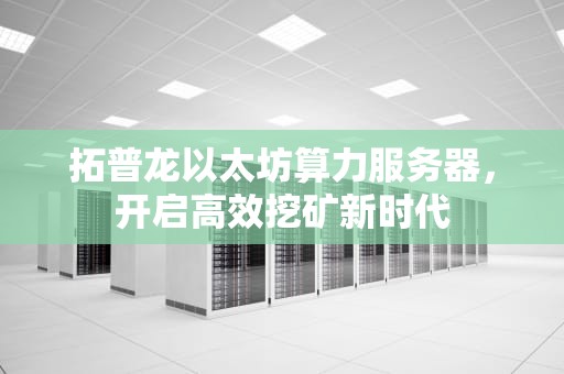 拓普龙以太坊算力服务器，开启高效挖矿新时代
