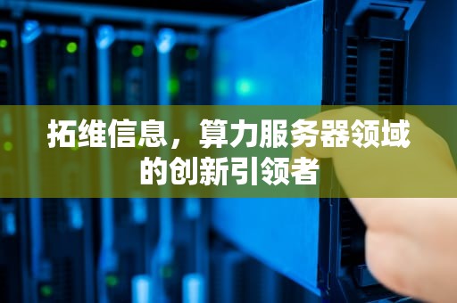 拓维信息，算力服务器领域的创新引领者