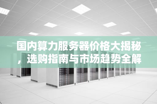 国内算力服务器价格大揭秘，选购指南与市场趋势全解析