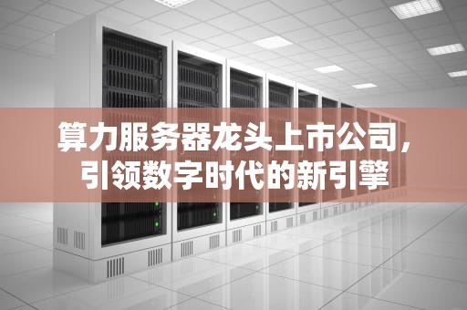算力服务器龙头上市公司，引领数字时代的新引擎