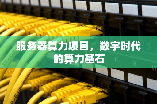 服务器算力项目，数字时代的算力基石