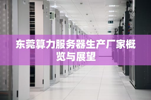 东莞算力服务器生产厂家概览与展望