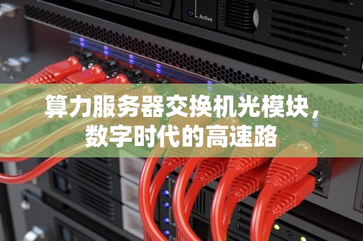 算力服务器交换机光模块，数字时代的高速路