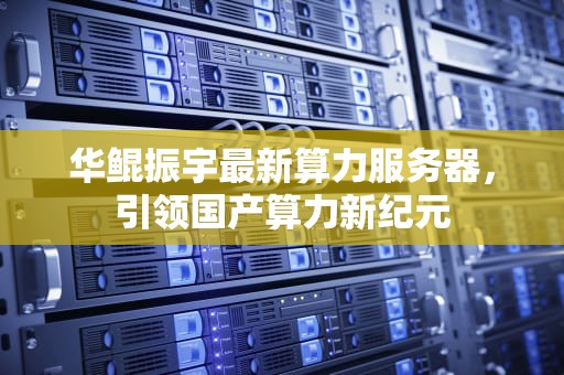 华鲲振宇最新算力服务器，引领国产算力新纪元