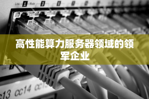 高性能算力服务器领域的领军企业