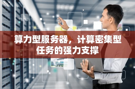 算力型服务器，计算密集型任务的强力支撑