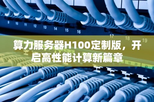 算力服务器H100定制版，开启高性能计算新篇章