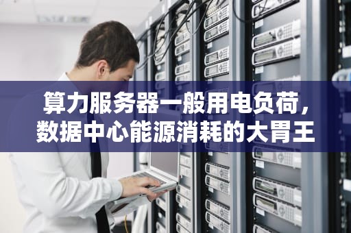 算力服务器一般用电负荷，数据中心能源消耗的大胃王