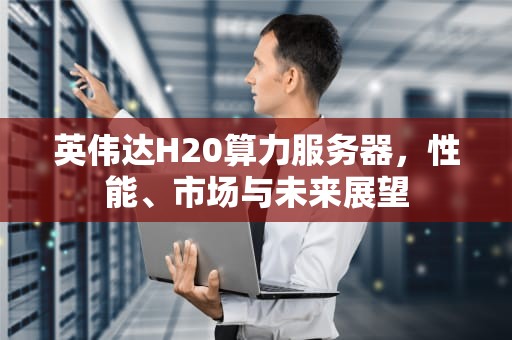 英伟达H20算力服务器，性能、市场与未来展望