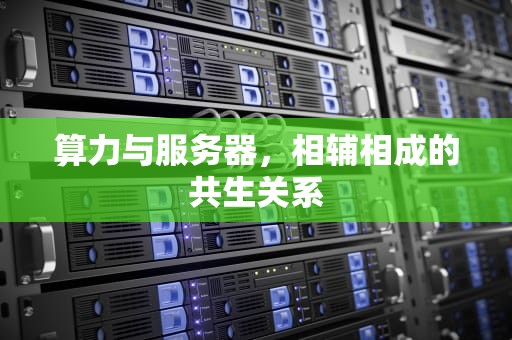 算力与服务器，相辅相成的共生关系