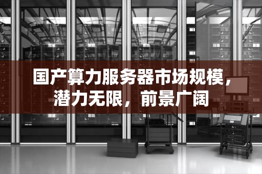 国产算力服务器市场规模，潜力无限，前景广阔
