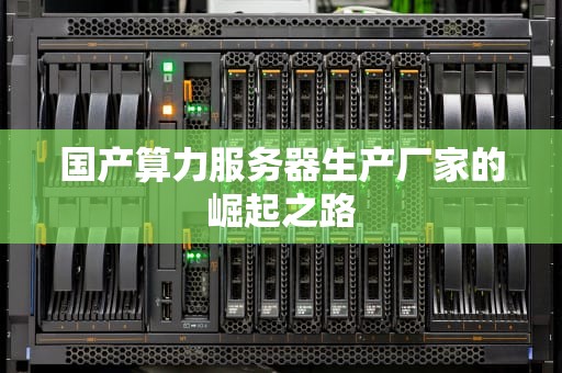国产算力服务器生产厂家的崛起之路