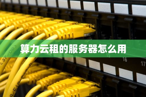 算力云租的服务器怎么用
