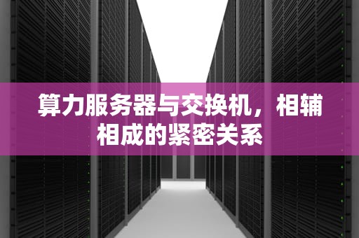 算力服务器与交换机，相辅相成的紧密关系