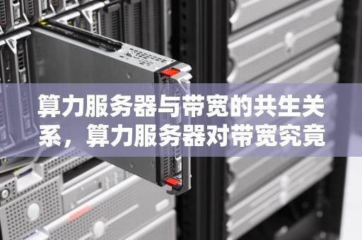 算力服务器与带宽的共生关系，算力服务器对带宽究竟有无要求？