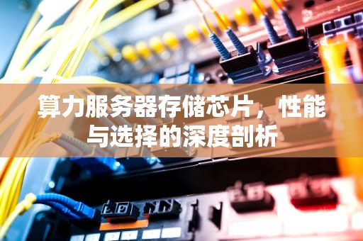 算力服务器存储芯片，性能与选择的深度剖析