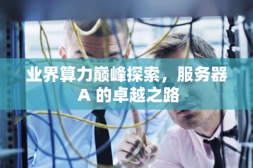 业界算力巅峰探索，服务器 A 的卓越之路