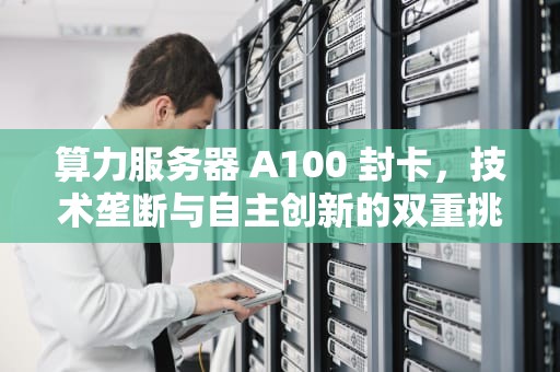 算力服务器 A100 封卡，技术垄断与自主创新的双重挑战