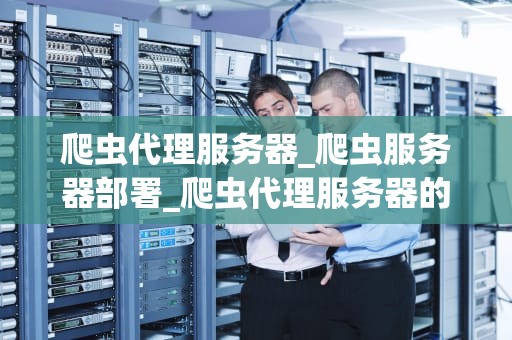 爬虫代理服务器_爬虫服务器部署_爬虫代理服务器的工作原理与应用