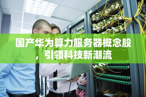 国产华为算力服务器概念股，引领科技新潮流