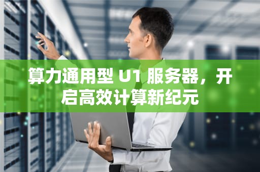 算力通用型 U1 服务器，开启高效计算新纪元