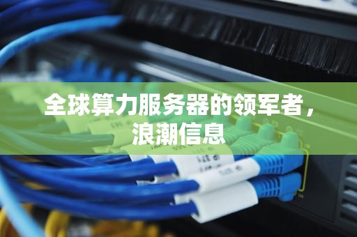 全球算力服务器的领军者，浪潮信息