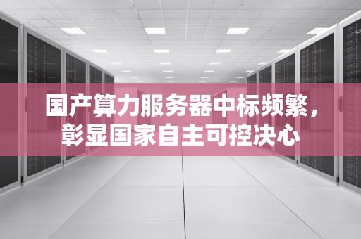 国产算力服务器中标频繁，彰显国家自主可控决心