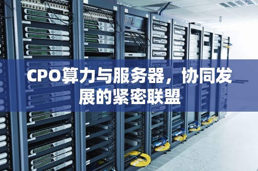 CPO算力与服务器，协同发展的紧密联盟