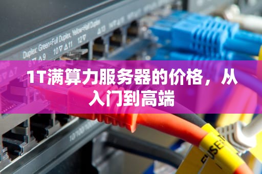 1T满算力服务器的价格，从入门到高端