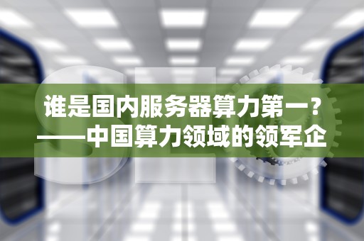 谁是国内服务器算力第一？——中国算力领域的领军企业