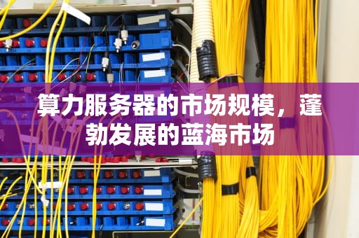 算力服务器的市场规模，蓬勃发展的蓝海市场
