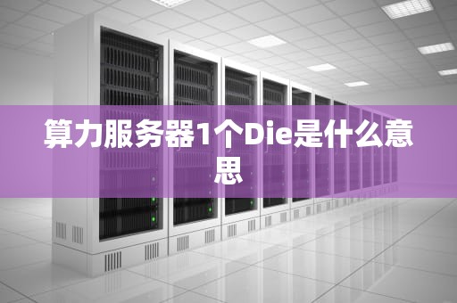 算力服务器1个Die是什么意思