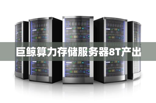 巨鲸算力存储服务器8T产出