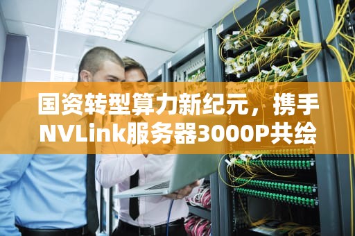国资转型算力新纪元，携手NVLink服务器3000P共绘未来蓝图