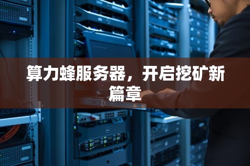 算力蜂服务器，开启挖矿新篇章