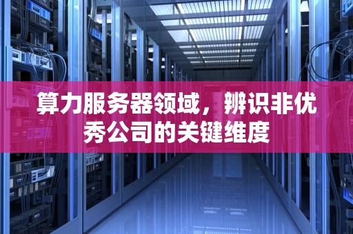 算力服务器领域，辨识非优秀公司的关键维度