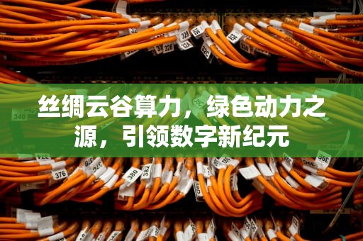 丝绸云谷算力，绿色动力之源，引领数字新纪元