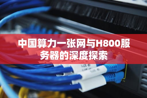 中国算力一张网与H800服务器的深度探索