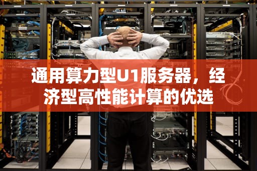 通用算力型U1服务器，经济型高性能计算的优选