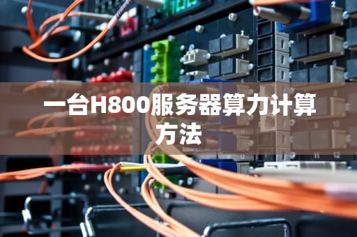 一台H800服务器算力计算方法