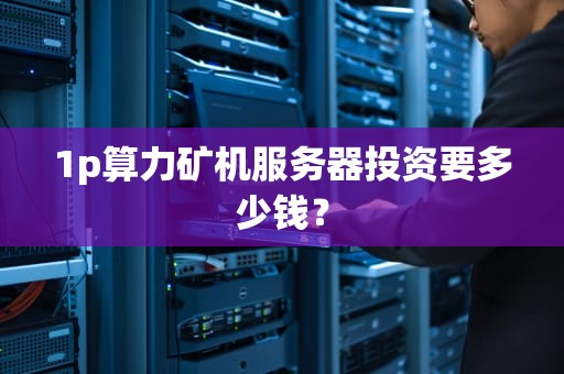 1p算力矿机服务器投资要多少钱？