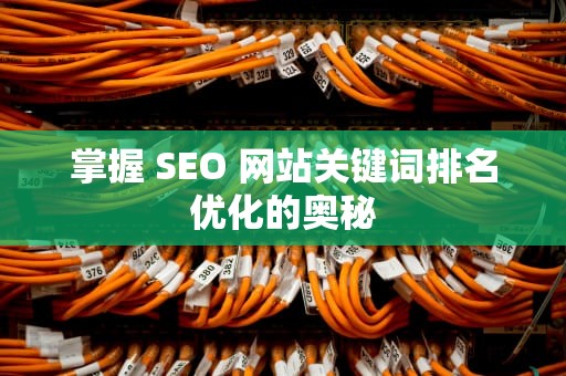 掌握 SEO 网站关键词排名优化的奥秘