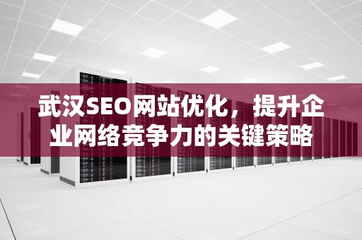 武汉SEO网站优化，提升企业网络竞争力的关键策略